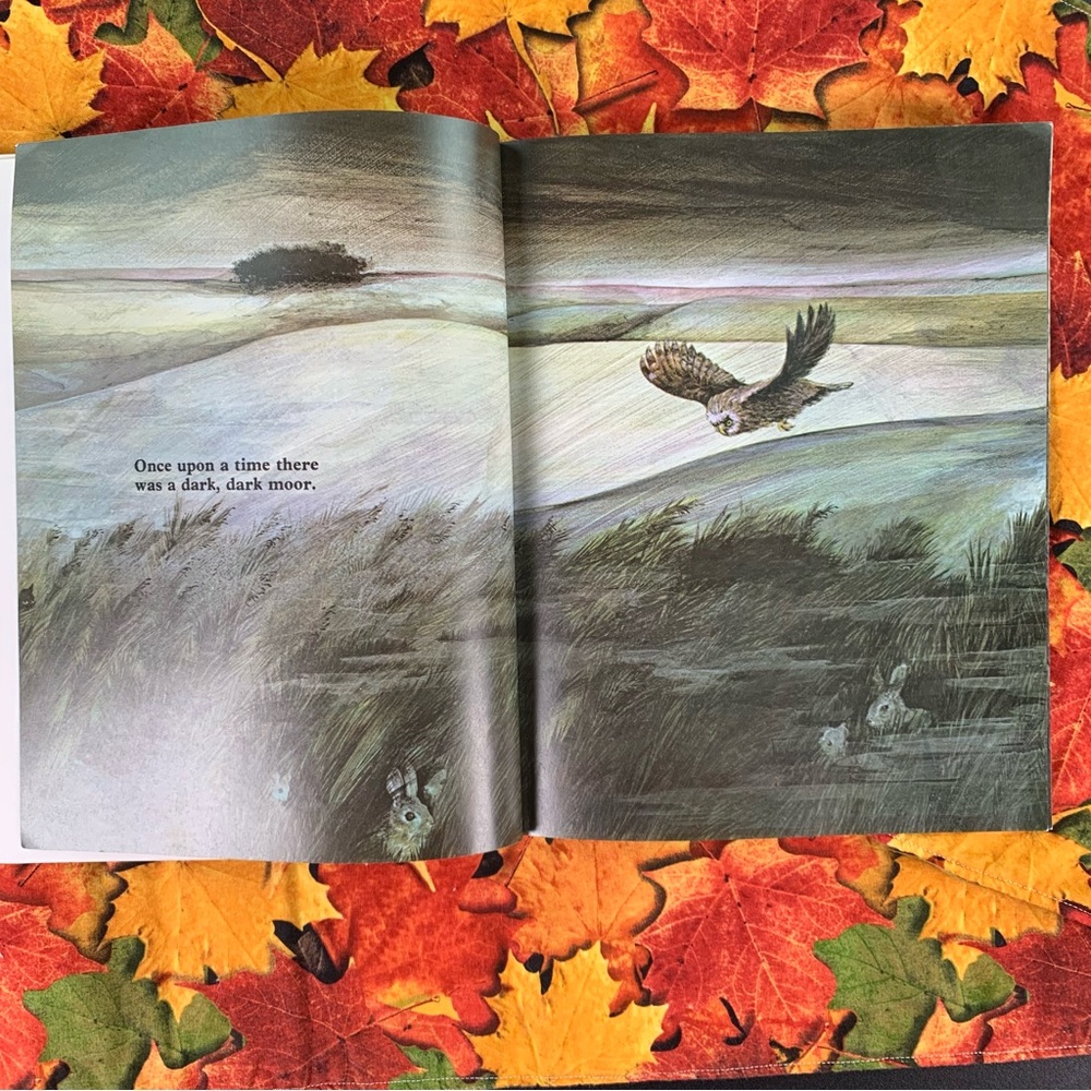 A Dark Dark Tale and Caves Book Set. - Picture 5 of 14
